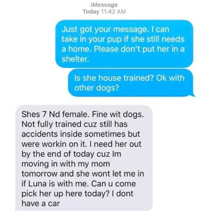 This Viral Story of a Woman Trying to Get Rid of Her Elderly Dog Has People Furious