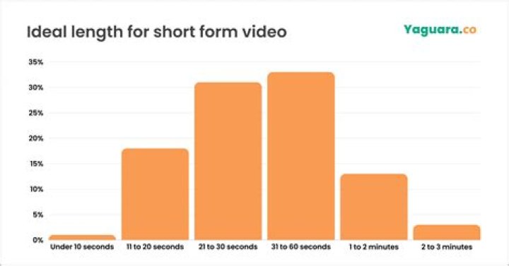 삐루빼로 video statistics